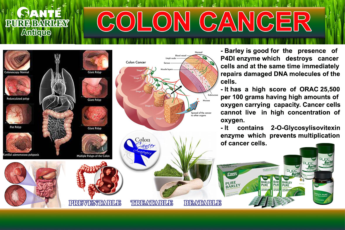 Sante Barley Colon Cancer