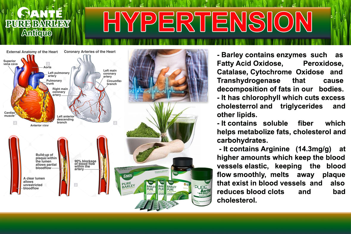 Sante Barley Hypertension