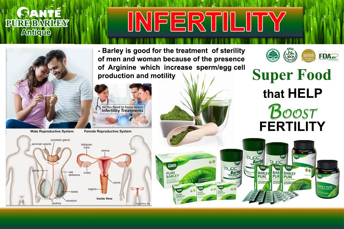 Sante Barley Infertility